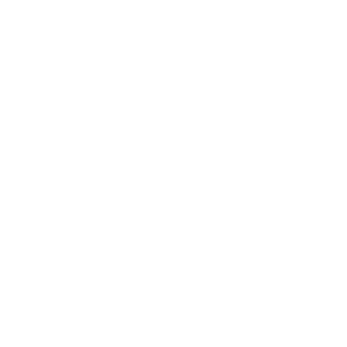 White shield icon